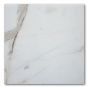 Calacatta Gold Marble 6x6 Tile Polished