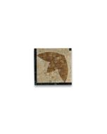 Lotus Beige 5.9x5.9 Marble Mosaic Border Corner Tile Polished